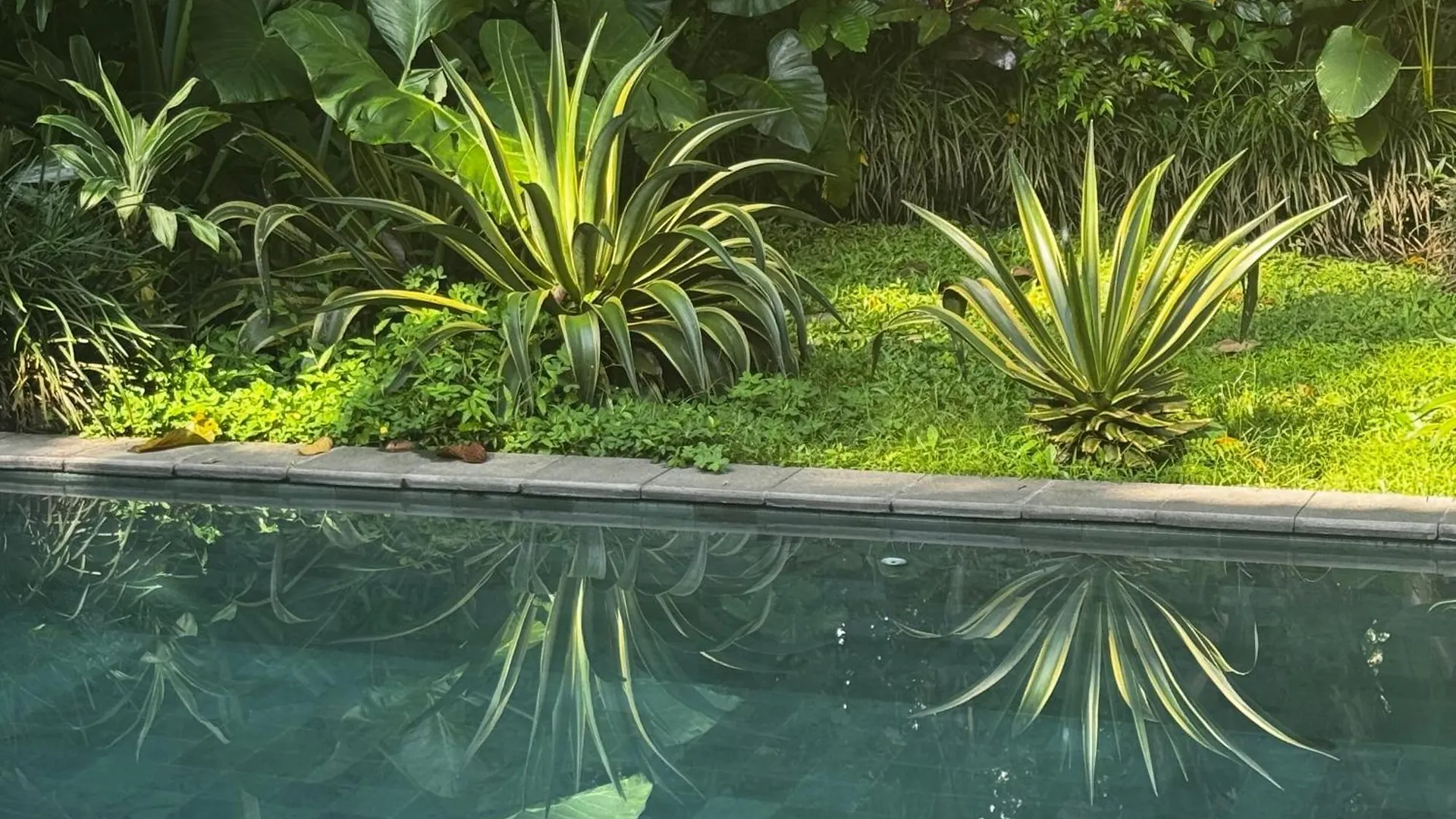 Ubud Uma-Ijo