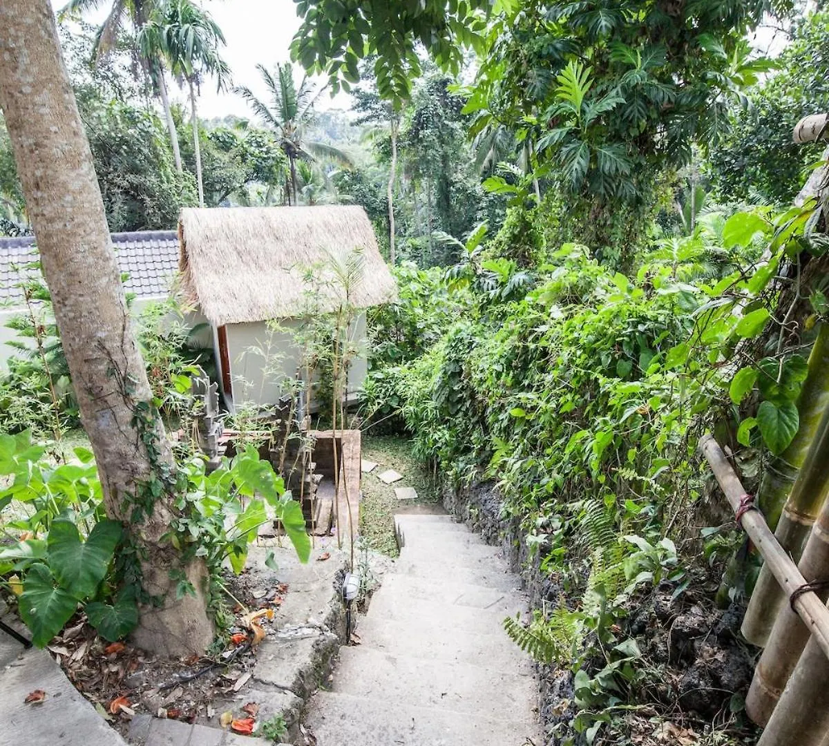 Villa Ubud Uma-Ijo Indonesia