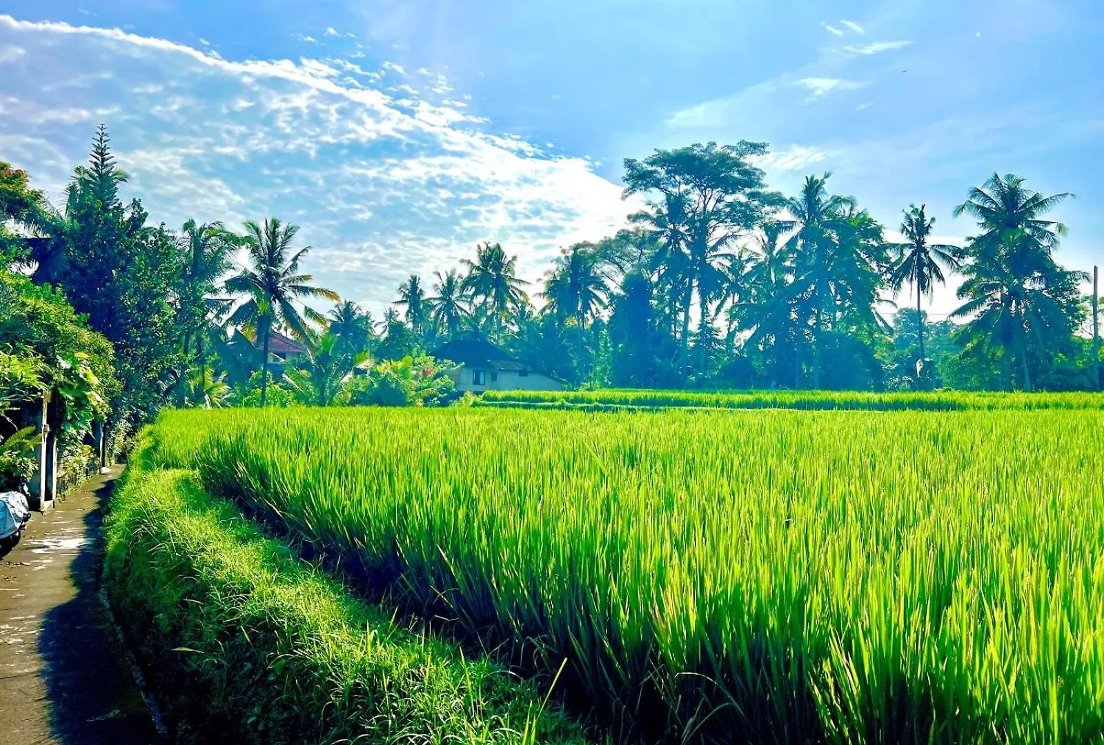 Villa Ubud Uma-Ijo